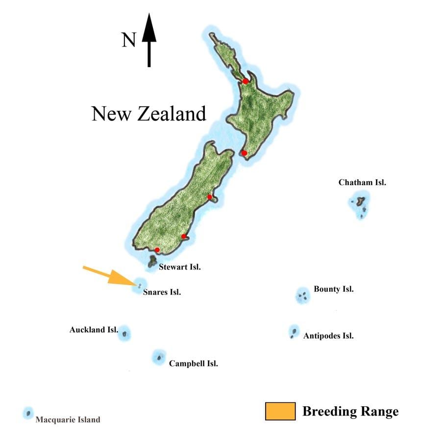 Ramani ya new zealand na visiwa vya jirani